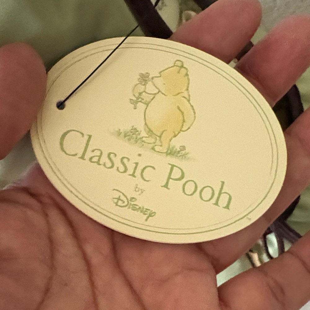 Disney Light Green 4 in 1 Winnie the Pooh Diaper Bag with Brown Trim - Picture 13 of 14